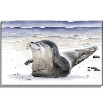 Leinwand 40 x 30 cm Keilrahmen Canvas-Leinen  Aquarell Maritim Kunst Druck Kunstdruck Seehund Robbe Heuler Kegelrobbe Dänemark Nordsee Ostsee